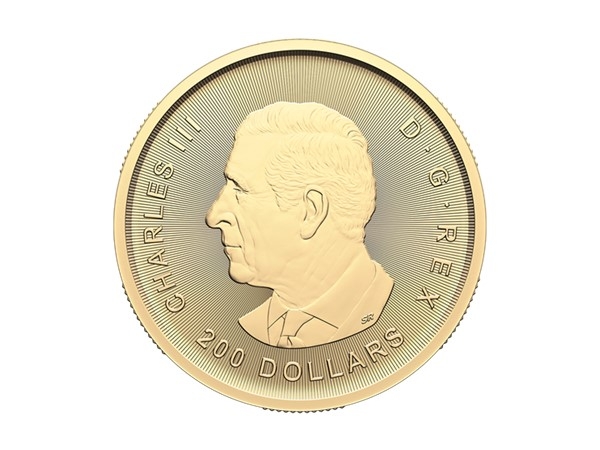 2024加拿大淘金系列 - 提煉金礦石99999金幣1盎司(封卡) 商品圖